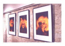 Exhibition entitled 'Icone'